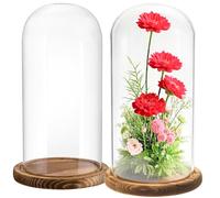 Mezchi Confezione da 2 campane in vetro trasparente, 25 x 12 cm, con base in legno marrone scuro, per piante, medaglie, foto, oggetti da collezione antichi
