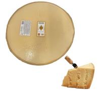 Mezza Forma Grana Padano DOP 19 Kg circa.