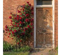Mezzo Arco da Giardino per Parete, Traliccio in Metallo per Rose e Piante Rampicanti, Supporto Decorativo Resistente per Esterno, Terrazzo e Cortile(Black,150x240cm)