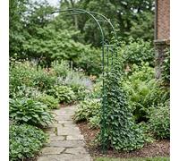 Mezzo Arco da Giardino per Parete, Traliccio in Metallo per Rose e Piante Rampicanti, Supporto Decorativo Resistente per Esterno, Terrazzo e Cortile(Green,120x240cm)