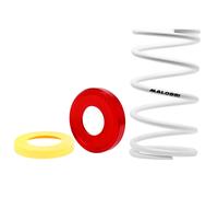 MF1572 Molla di Contrasto Bianca + Torsion Malossi per Yamaha TMax 500 530 560