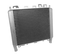 MF3962 Radiatore Acqua Originale Piaggio 250 300 350 400 500 Beverly 2006 / 2020