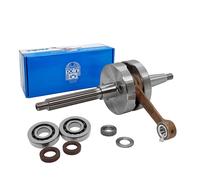MF9206 Albero Motore Polini Spalle Piene 39,3 e Cuscinetti PIAGGIO ZIP RUNNER SR