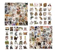 MFCGHXR 100 pezzi di adesivi meme, meme sticker, adesivi pc portatile gatto, adatti per affiggere laptop, borracce, chitarre, valigie, skateboard, quaderni, ecc.