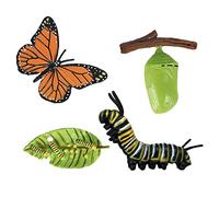MFMEXUL 4 Pezzi Modello Animali Set Figurine Metamorfosi Accessori Apprendimento Plastica Adatto a Studenti Progetti Scuola Giochi Creativi