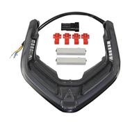 MFTGRS per Ducati per Panigale V2 V4 R S V4R V4S 2018 2019 2020 2021-2023 Moto Integrato Fanale Posteriore Freno Indicatori di Direzione Luce(Fumo)