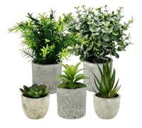 MFUSUL 5 Pezzi Piante Artificiali, Mini Piante Finte Serpentine, Agave Succulente, Aloe Artiglio, Set di Vasi Artificiali per Camera da Letto Ufficio Decorazione