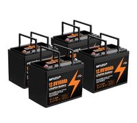 MFUZOP 12V100Ah LiFePO4 Batteria Group 24, 100A BMS, MAX 1280W Potenza, 8000-15000 Cicli Deep Cycle, Supporta Collegamento in Serie/Parallelo, per Camper, Sistema Solare Domestico