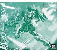 MG 1/100 ALTRON GUNDAM EW Premium Bandai limited edition by Master Grade