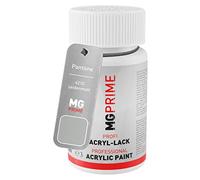 MG PRIME Pantone 421C Grey satinato Stilo di ritocco da 50 ml ad asciugatura rapida