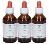 MG Vite (Vitis vinifera) gemme 3x100 ml Gocce orali