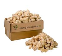 mgc24 Accendifuoco in lana di legno e cera, accendino per camino, per barbecue, ecologico, a legna da ardere, 10 kg (circa 760 pezzi)