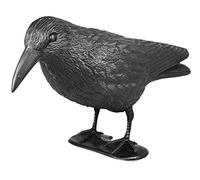 mgc24®, corvo finto per allontanare piccioni, gabbiani, piccoli uccelli