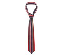 MGGAklp Cravatta da uomo con stampa a strisce colorate divertenti casual per signori, matrimoni, affari, feste