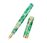 MGTCAR Penna stilografica classica con clip a freccia dorata per scrittura di lusso Executive penne a inchiostro M/F/EF pennino forniture di cancelleria per ufficio (10, M (0,7-1,0 mm)