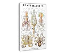 MHTHFD Ernst Haeckel - Stampa artistica da parete con cefalopodi, decorazione artistica da parete per soggiorno, camera da letto, 40 x 60 cm