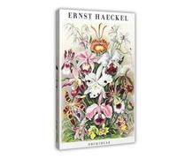 MHTHFD Ernst Haeckel - Stampa artistica da parete con orchidee su tela, decorazione artistica da parete per soggiorno e camera da letto, 60 x 90 cm