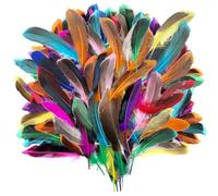 MHYMX Piume Decorative, 100 Pezzi Piume Colorate Piume Naturali Colorate per Matrimoni Acchiappasogni Accessori per Capelli Maschere Artigianato Scolastico