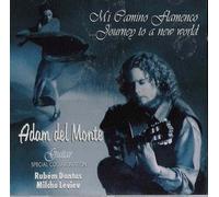 Mi Camino flamenco ... Journey to a new world