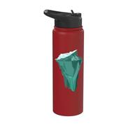 Mi piace molto il bellissimo iceberg Ice Berg Stainless Steel Insulated Water Bottle