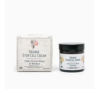 Mi Rebotica - Crema per cellule staminali d'arancia, crema antiossidante con vitamine e rosa canina, migliora il tono della pelle, la luminosità e la fermezza (60 ml)
