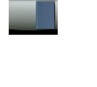 Mia Bay The White Image in the Black Mind (Copertina rigida)