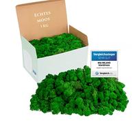 Mia Milano Muschio stabilizzato islandese I Naturale muschio per, parete, presepe, decorazioni o modellismo I muschio verde chiaro e scuro (Verde naturale, 1kg)