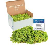 Mia Milano Muschio stabilizzato islandese I Naturale muschio per, parete, presepe, decorazioni o modellismo I muschio verde chiaro e scuro (Lime, 250g)