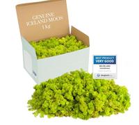 Mia Milano Muschio stabilizzato Islandese I Naturale Muschio per, Parete, presepe, Decorazioni o modellismo I Muschio Verde Chiaro e Scuro (Verde Chiaro, 1kg)