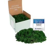 Mia Milano Muschio stabilizzato islandese I Naturale muschio per, parete, presepe, decorazioni o modellismo I muschio verde chiaro e scuro (Verde Scuro, 500g)