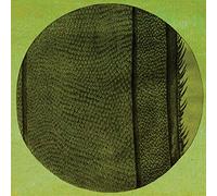 Micah Blue Smaldone - The Ring Of The Rise