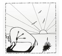 Micah P. Hinson and T. Nicholas Phelps - Broken Arrows