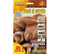 Micelio di funghi di Shii-take in chiodi da piantare su ceppi di legno confezione da 20 chiodi