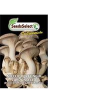 MICELIO PER FUNGHI CARDONCELLO BUSTINA GR 25 SEMENTI SEMI