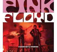 Michael A. O'Neill Pink Floyd (Copertina rigida)