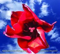 Michael Begg & Roedelius Two Gather in the Waiting Room (CD) Album