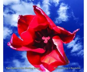 Michael Begg & Roedelius Two Gather in the Waiting Room (CD) Album