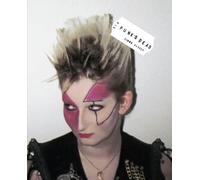 Michael Bracewell Simon Barker Greil Marcus Punk's Dead (Copertina rigida)