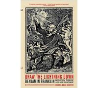 Michael Brian Schiffer Draw the Lightning Down (Tascabile)