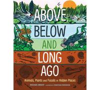 Michael Bright Above, Below and Long Ago (Copertina rigida)