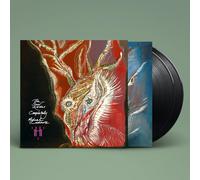 Michael Cashmore The Snow Abides Completely (Vinyl LP) 12" Album