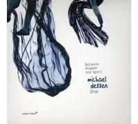 Michael Dessen Trio - Between Shadow And Space