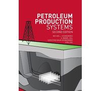 Michael Economides Ding Zhu A. Daniel Hill Ch Petroleum Produ (Copertina rigida)