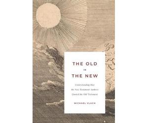 Michael J Vlach The Old in the New (Tascabile)