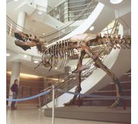 Michael James Tapscott The Beasts of History (CD) Album Digipak