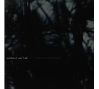 Michael Jon Fink I Hear It in the Rain (CD)