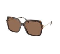 Michael Kors Donna Michael Kors MK2247U QUOGUE 395173 Occhiali da sole Acetato Tartaruga Marrone Squadrata Normale