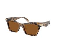 Michael Kors Donna Michael Kors MK2276U GRAND CAYMAN 393073 Occhiali da sole Acetato Tartaruga Marrone Cat Eye Normale
