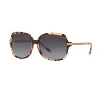 MICHAEL KORS EYEWEAR Sunglasses Mk2024 Adrianna II