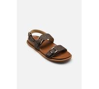 Michael Michael Kors - NIA FLAT SANDAL Marrone - Sandali e scarpe aperte 36 Marrone